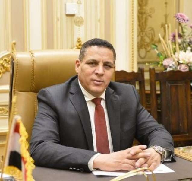 النائب احمد محسن 